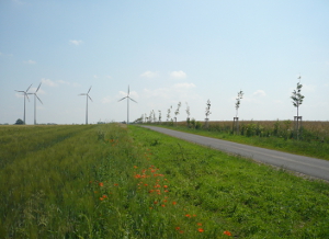 MALTERER Umweltplanung - Beruflicher Werdegang