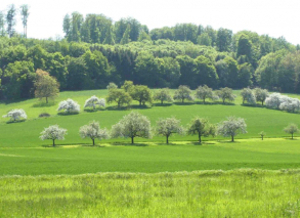 MALTERER Umweltplanung - Start